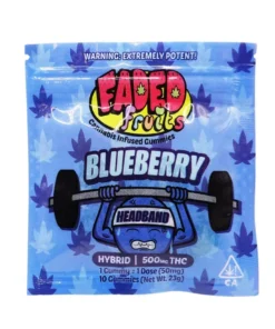 Faded Fruits Blueberry Headband